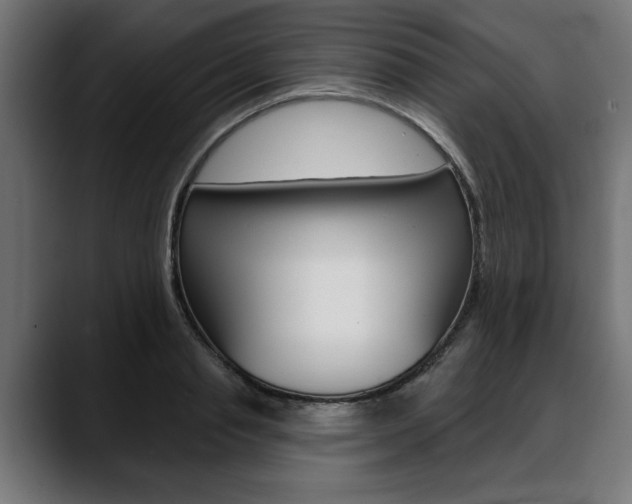 X0000088630845200705250856