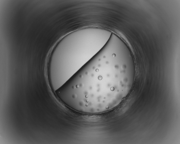 X0000088630851200705250856