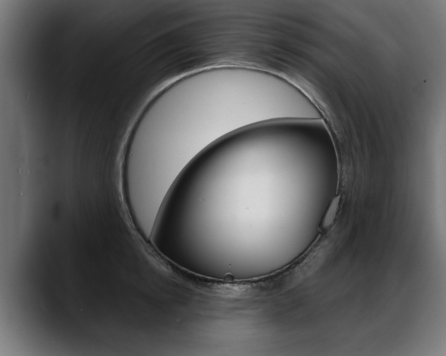 X0000088630854200705250856