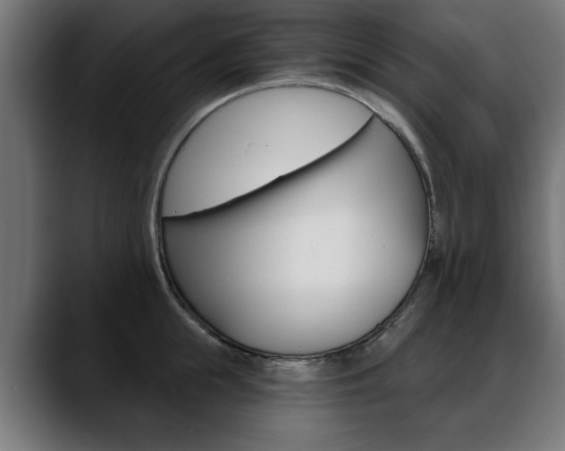 X0000088630855200705250856