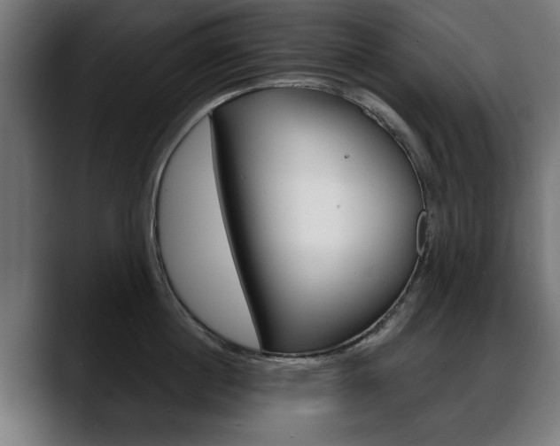 X0000088630860200705250856