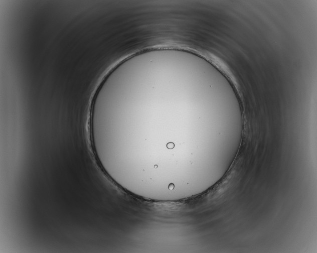 X0000088630863200705250856