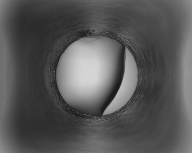 X0000088630865200705250856