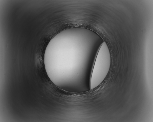 X0000088630867200705250856