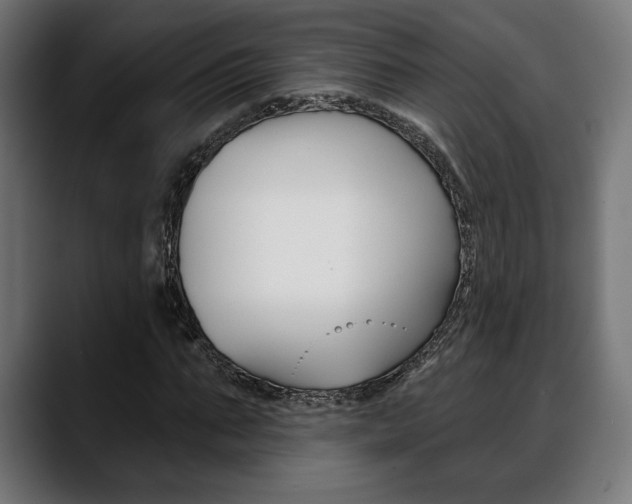 X0000088630871200705250856