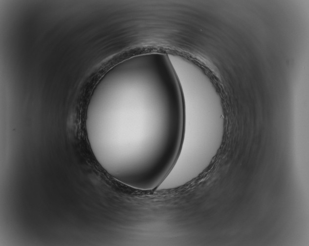 X0000088630872200705250856
