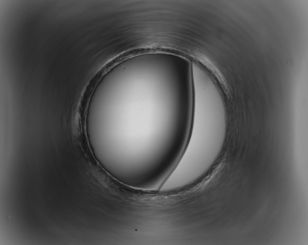 X0000088630876200705250856