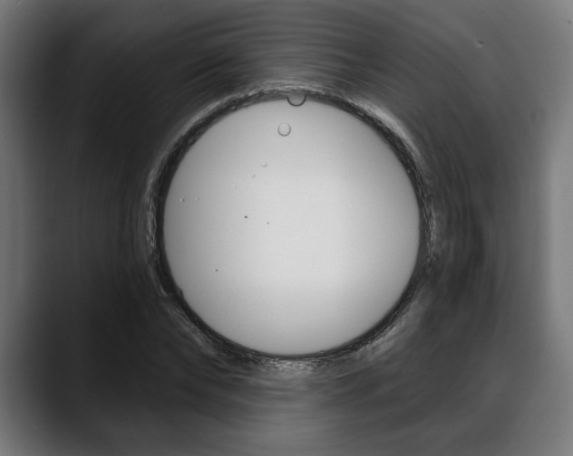 X0000088630878200705250856