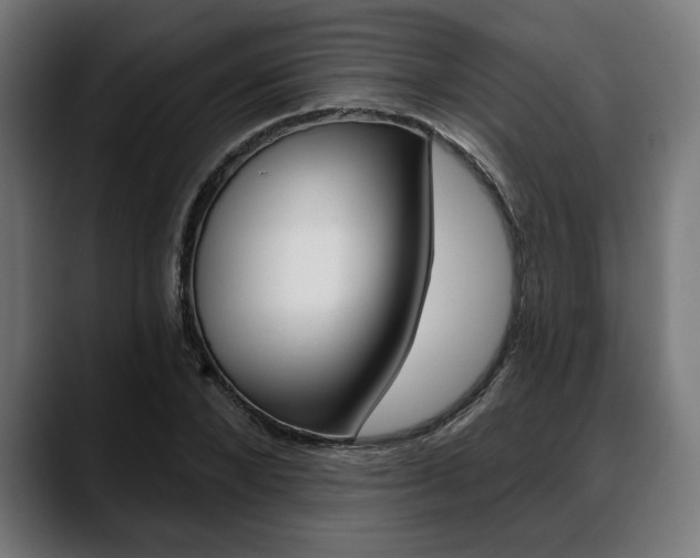 X0000088630880200705250856