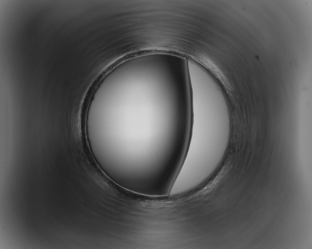 X0000088630884200705250856