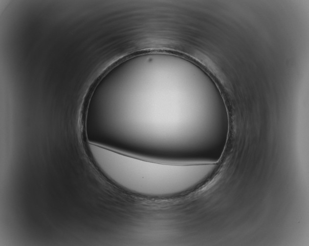 X0000088630885200705250856