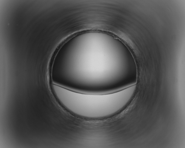 X0000088630888200705250856