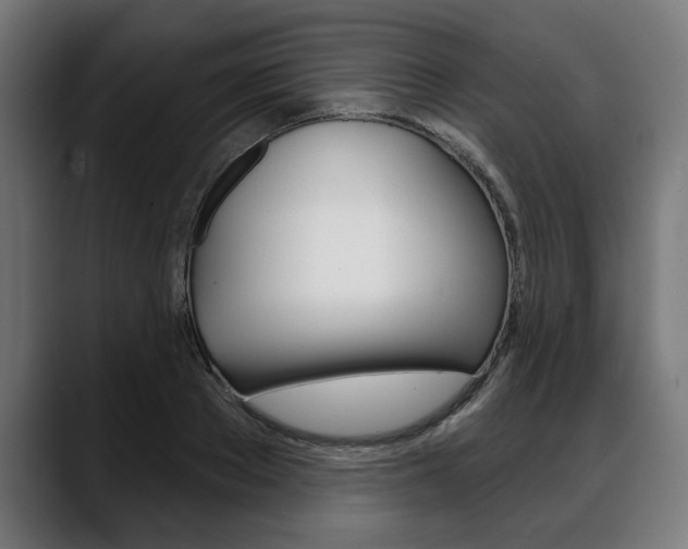 X0000088630889200705250856