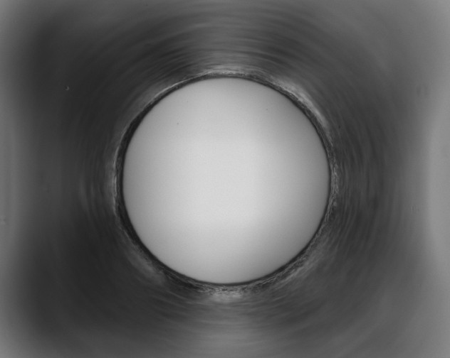 X0000088630890200705250856