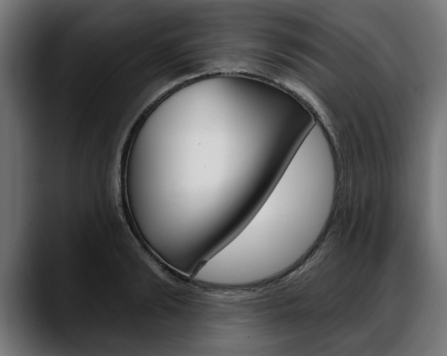 X0000088630894200705250856