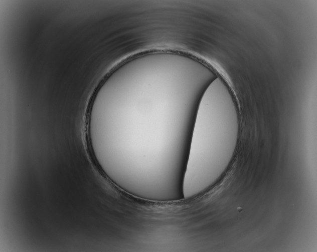 X0000088630895200705250855