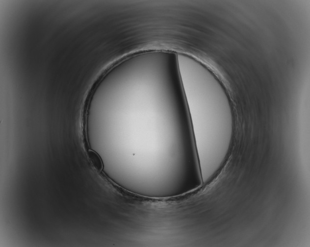 X0000088630896200705250855