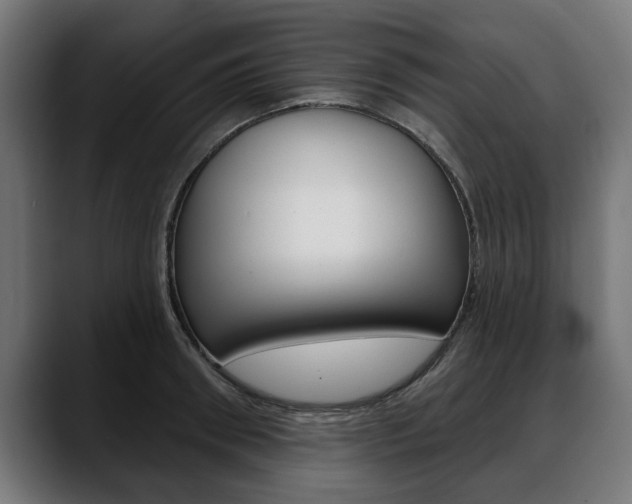 X0000088630898200705250855