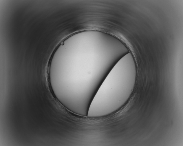 X0000088630899200705250855