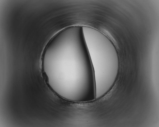 X0000088630900200705250855