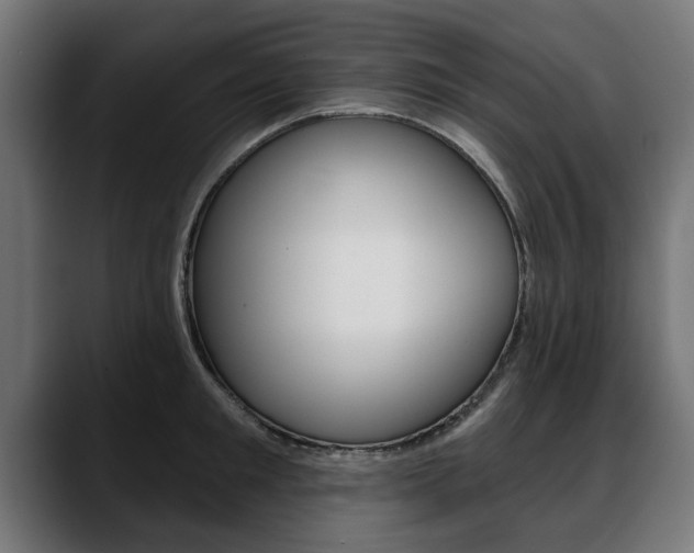 X0000088630901200705250855