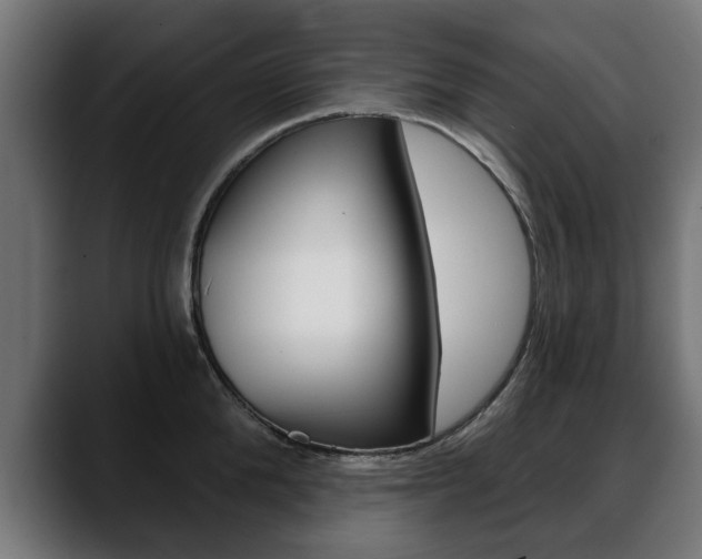 X0000088630904200705250855