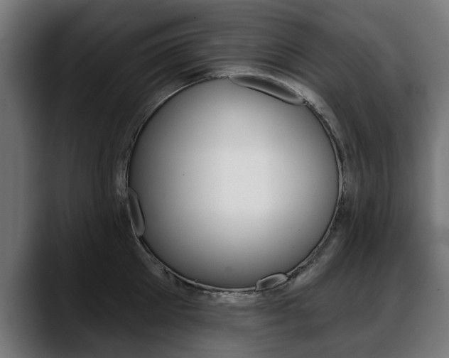 X0000088630905200705250855