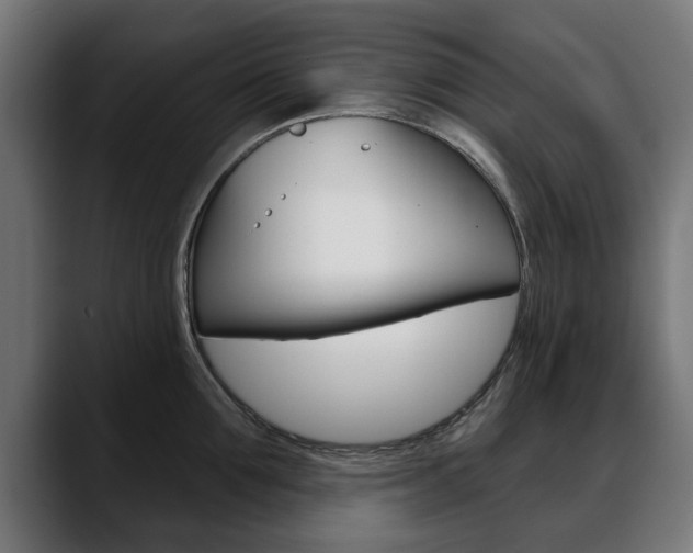 X0000088630907200705250855