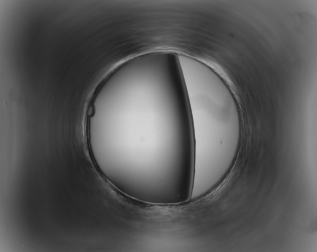 X0000088630910200705250855