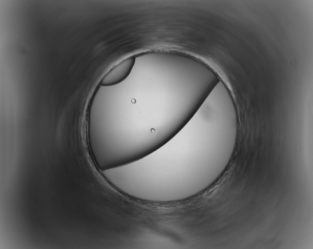 X0000088630911200705250855