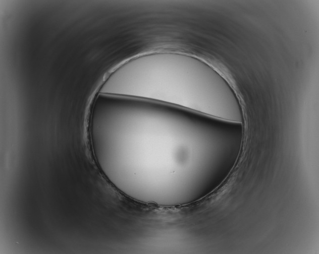 X0000088630912200705250855