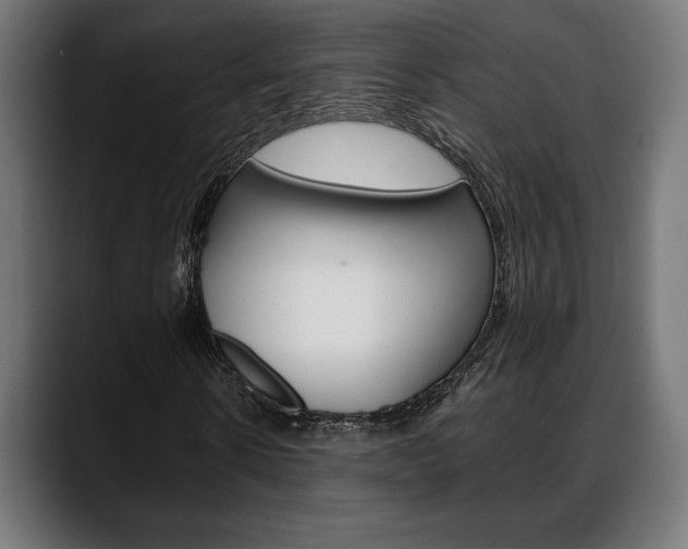 X0000088630914200705250855