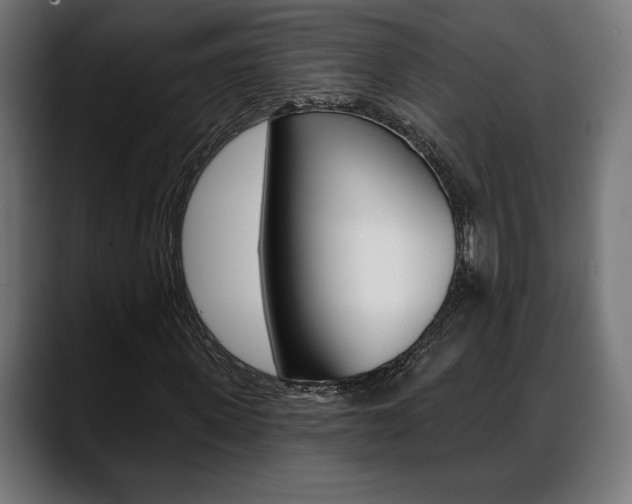 X0000088630915200705250855