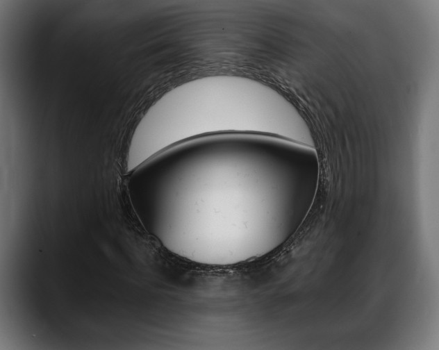 X0000088630916200705250855
