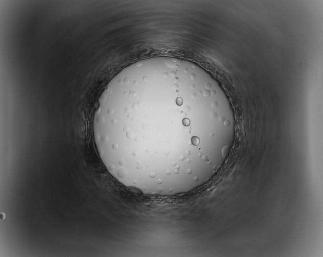 X0000088630917200705250855