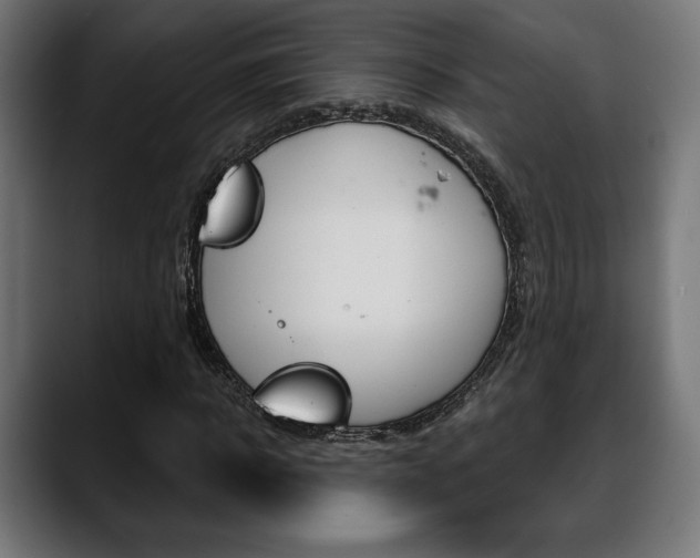 X0000088630918200705250855