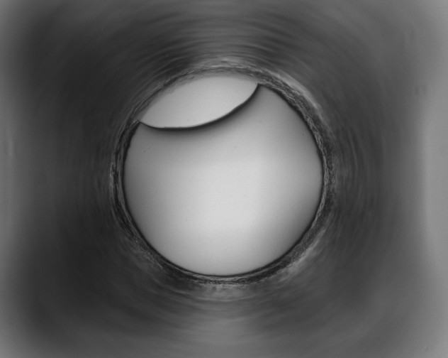 X0000088630921200705250855