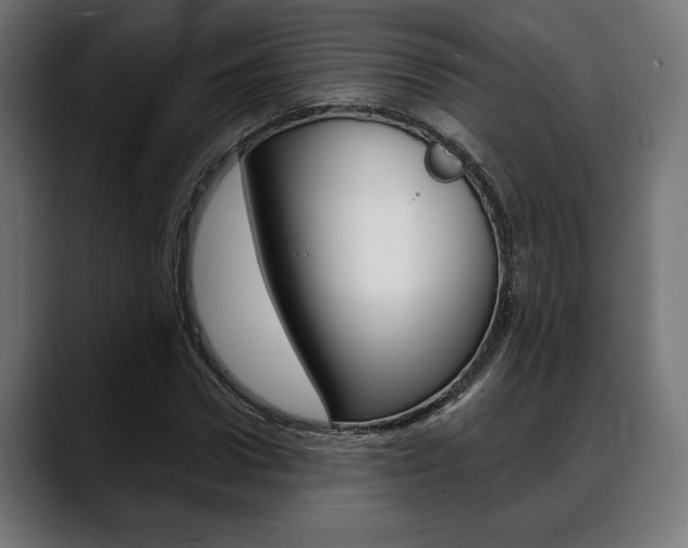 X0000088630922200705250855