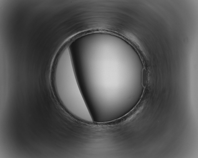 X0000088630924200705250855