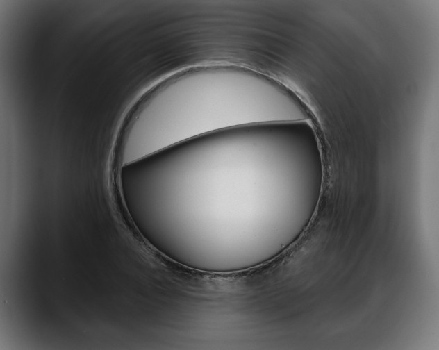X0000088630928200705250855