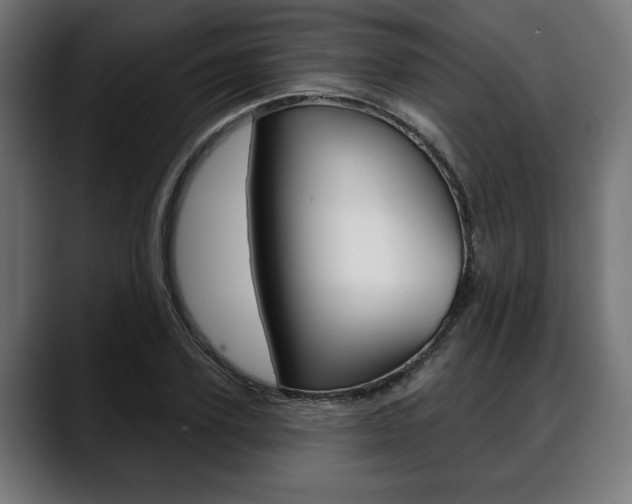 X0000088630931200705250855
