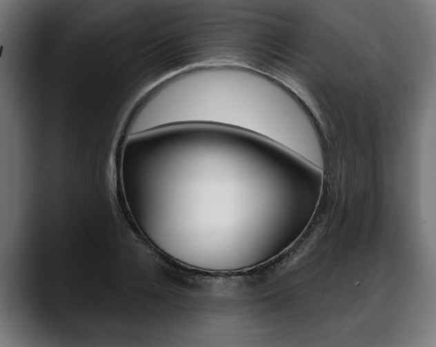 X0000088630936200705250855