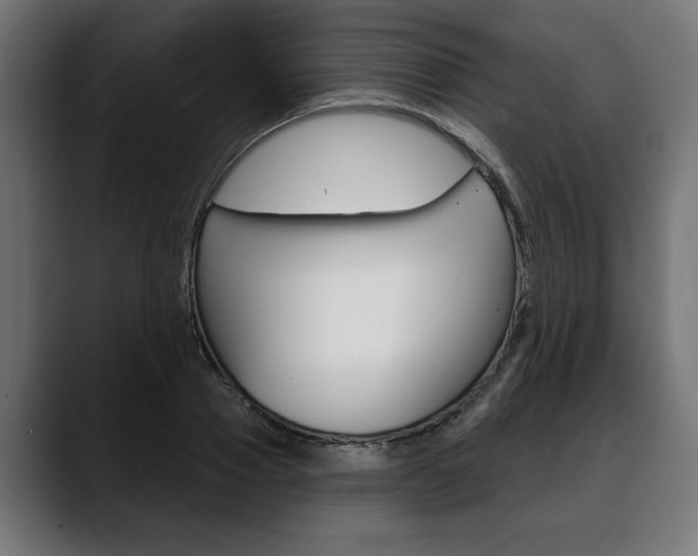 X0000088630937200705250855