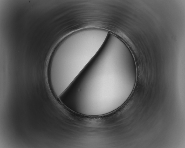 X0000088630939200705250855