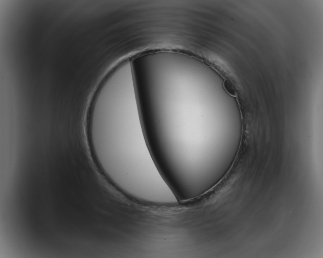 X0000088630942200705250855