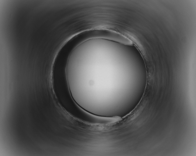 X0000088630948200705250855