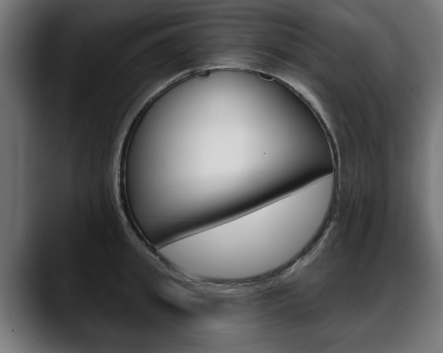 X0000088630949200705250855