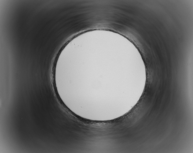 X0000088630950200705250855