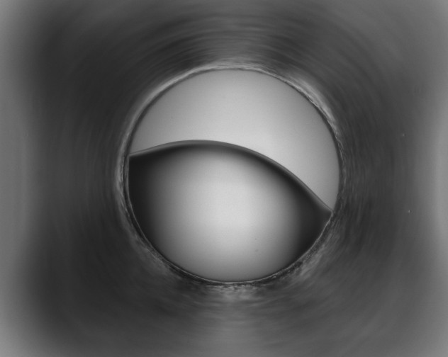X0000088630952200705250855