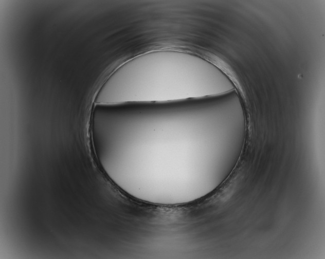 X0000088630954200705250855